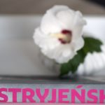 Stryjeńska. Diabli nadali. Angelika Kuźniak, wyd. Czarne